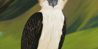 All aBOARD EXPO 2026 - Haribon VIP Pass