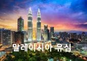 말레이시아 유심 및 이심 비교-쿠알라룸푸르 공항 수령 유심 추천