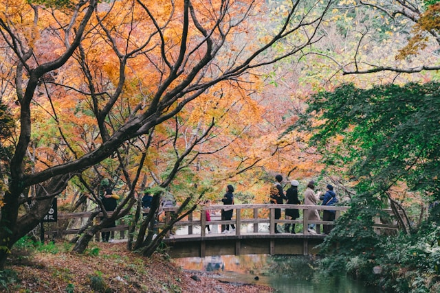 후쿠오카에서 유후인