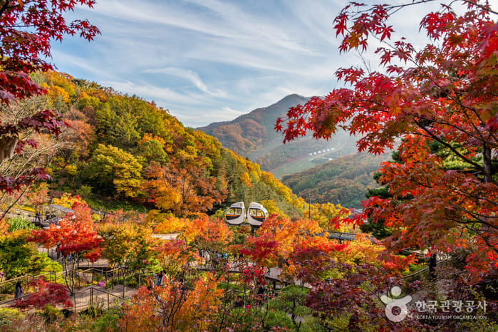 요즘 나들이 갈만한 곳 화담숲