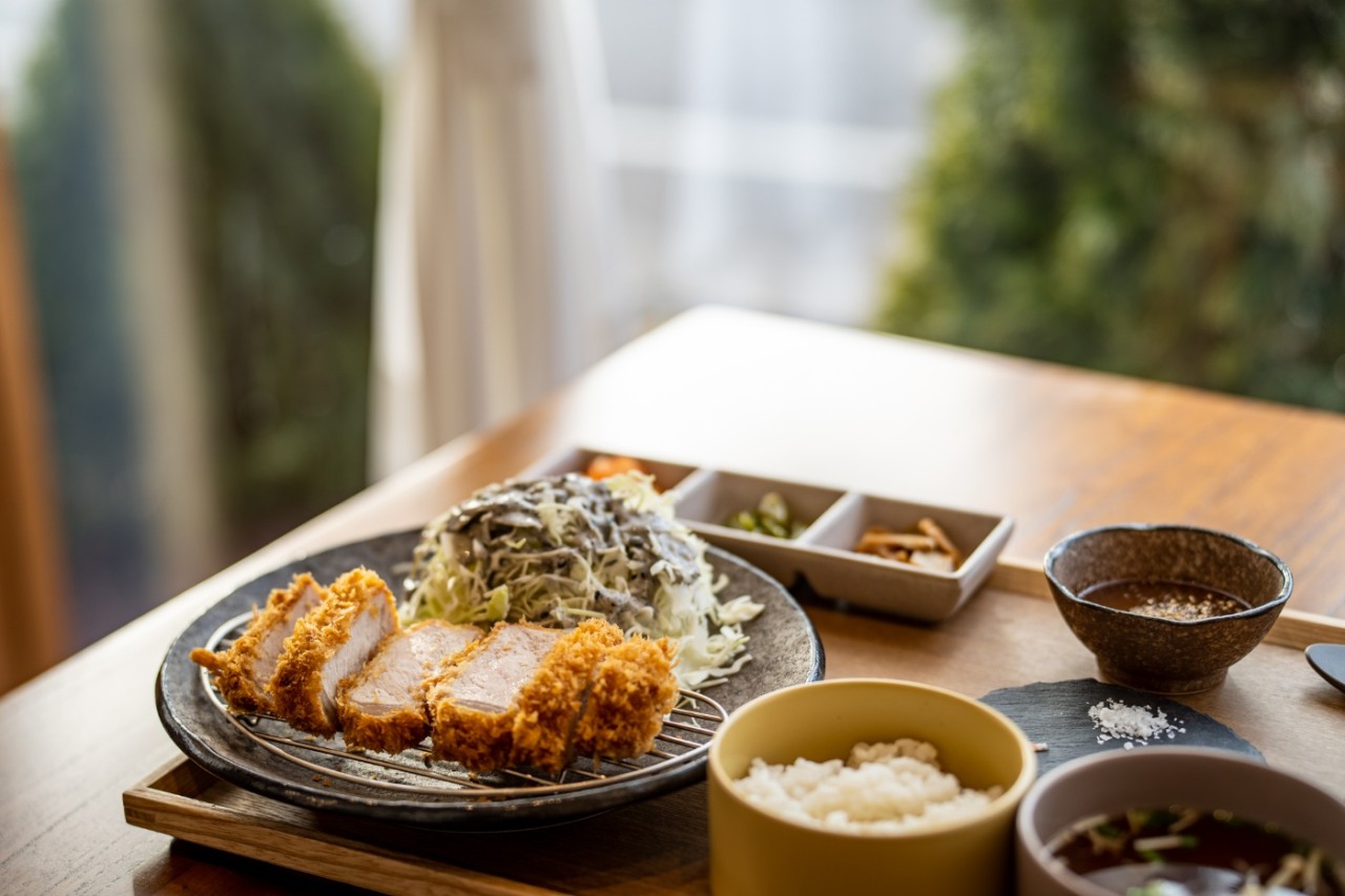 카멜리아힐 근처 맛집 터틀리애