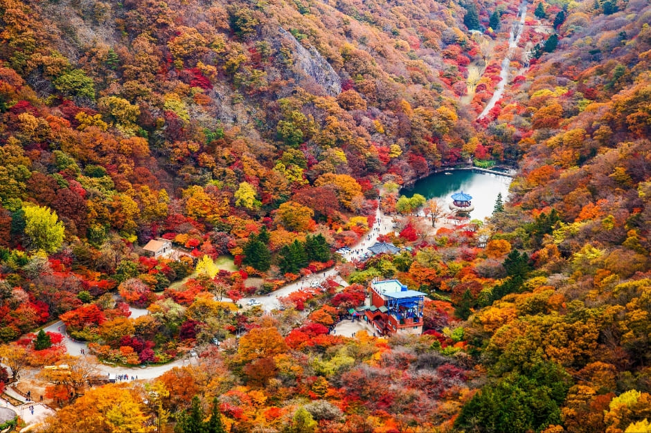 요즘 나들이 갈만한 곳 내장산