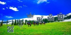 Hotel Anna - Housity