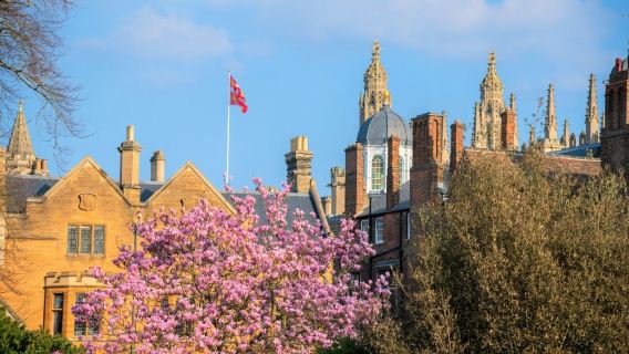 Oxford and Cambridge University 1-day tour[round-trip from London | Optional Chinese or English guide]