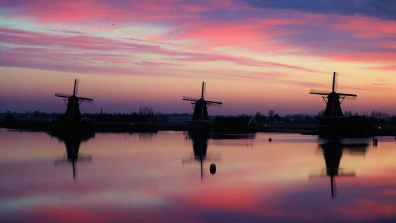 Amsterdam: Zaanse Schans, Den Haag & Rotterdam Tour
