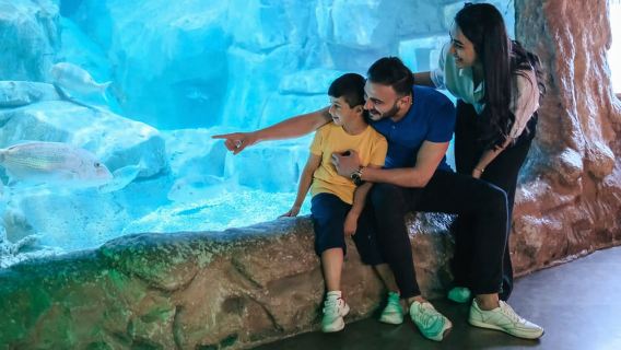 Barcelona: Hop-On/Hop-Off-Bus & Aquarium-Tour