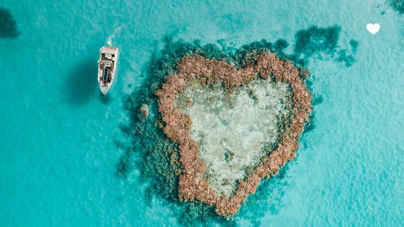 Whitsunday Islands und Harbour Hardy Reef – Tagesausflug[Heart Reef + Halb-U-Boot + optionale Hin- und Rückfahrt]