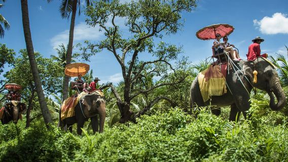 Dannern Saduak Elefantenpark - Elefantenreiten - Schießstand - ATV - Mini-Rennwagen - Chang Puak Camp Damnoen Saduak