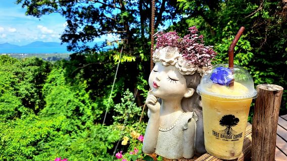 蘇梅島叢林飛躍Tree Bridge Zipline樹橋咖啡