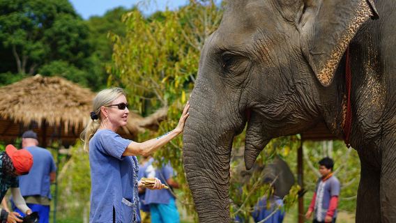 泰國蘇梅島大象王國一日遊【公益象園 全島酒店接送 英文導遊】