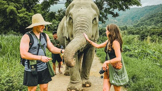 蘇梅島越野車之旅+大像水療中心親近大象+納芒瀑布一日遊
