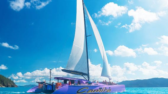 Camira Segelboot-Tour zum Whitehaven Beach [Abfahrt von Airlie Beach, Hill Inlet + Schnorcheln]