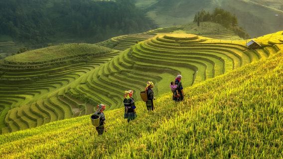 E-Visum-Service für internationale Touristen in Vietnam