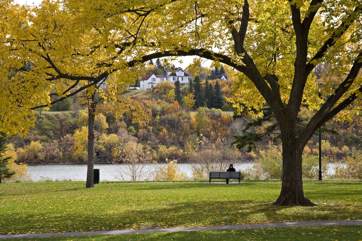 The riverbank and the trails in Saskatoon