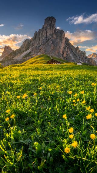 13D10N • Europe: Italy + Switzerland + Germany + France · Roundtrip Flight by Qatar Airways · QR · Leisure Pace · Senior-Friendly