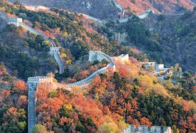 8D7N · Group Tours · Beijing–Shaanxi: Great Wall of China + Forbidden City + Emperor Qinshihuang's Mausoleum Site Museum + Mount Hua, no shopping stops · Exclusive for international guests: 24-hour private car station transfers, popular attractions 
