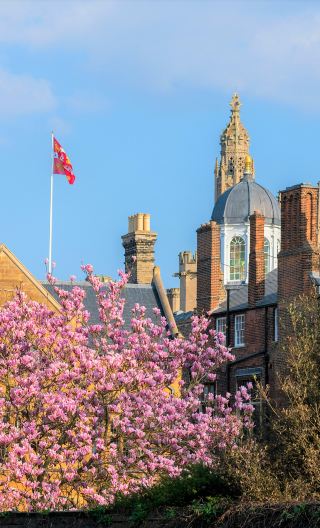 4D3N • United Kingdom London + Cambridge + York + Edinburgh