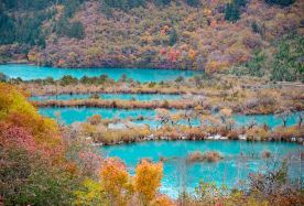 5D4N · Group Tours · Jiuzhaigou + Mount Siguniang + Huanglong National Scenic Area + Chengdu Research Base of Giant Panda Breeding · Includes Sanxingdui Museum, fun experiences like Gaiwan tea and ear cleaning, local cuisine, landmark check-in, a free data card, and the mandatory sightseeing shuttle fee.
