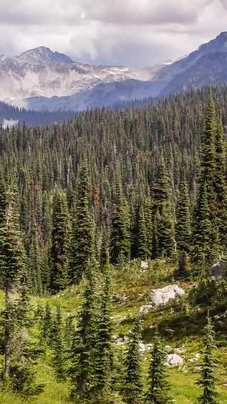 5D4N • Banff National Park