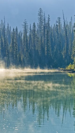 5D4N • Banff National Park + Yoho National Park + Jasper National Park + Calgary, Canada