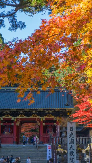 2天1晚 • 日本東京出發·日光市溫泉之旅「世界遺產巡遊 - 日光的寺社」