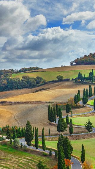 3D2N • Florence, Siena, San Gimignano, Square of Miracles, Leaning Tower of Pisa, Lucca Town, Caseificio Artlatte
