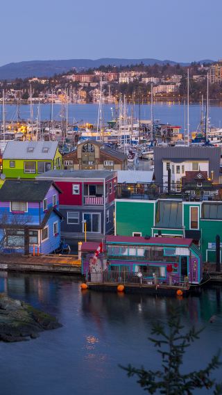 7D6N • Wild Vancouver Island West Coast Tour: Rainforest, Hot Springs & Coastal Hikes, Round Trip from Vancouver