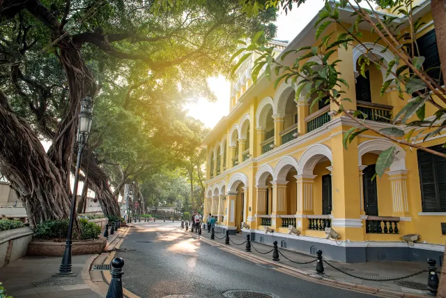 Yellow colonial arcade building framed by banyan trees on Shamian Island in Guangzhou