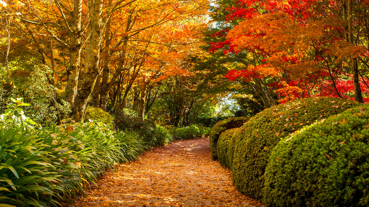 image_grid_sub3