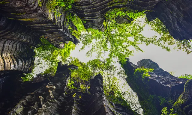 Enshi Suobuya Stone Forest Scenic Area