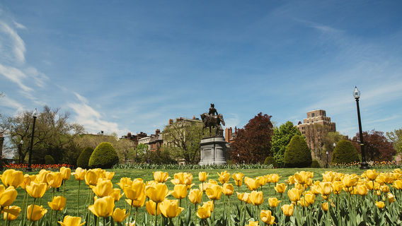 Boston Common