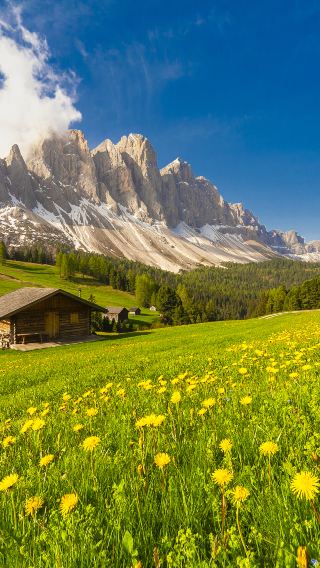 3D2N • Dolomites Private Tour · Milan to Venice · Book now for a stress-free Alpine escape
