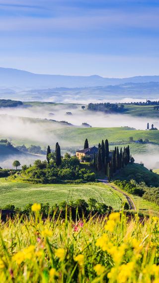 2D1N • Your private driver. Your pace. Tuscany's greatest hits — medieval towers, renaissance piazzas, and that iconic cypress road.