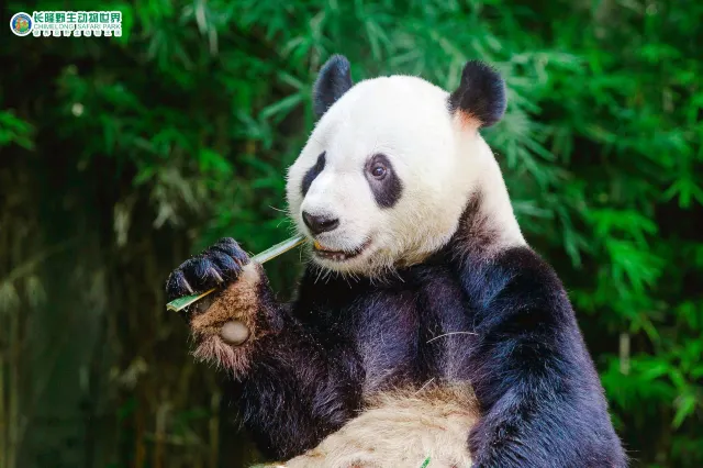 【廣州天氣】2026廣州全年氣溫指南,最佳旅遊季節與穿衣搭配建議