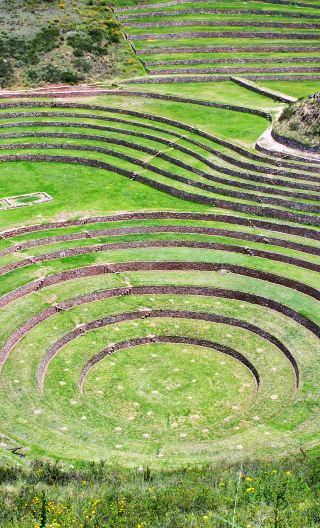 5D4N • Peru