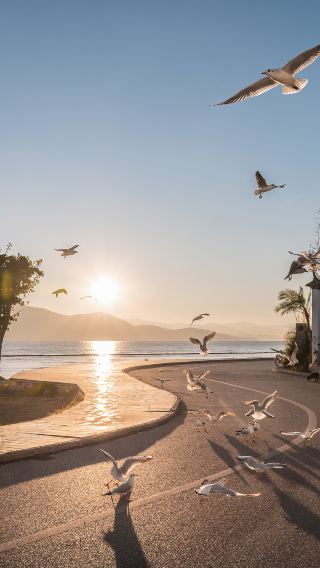 7D6N • Yunnan 7-day 6-night tour: Kunming + Dali + Lijiang - Daily departures: English-speaking guide, 24-hour online concierge service, 4-diamond hotels throughout & Yunnan cuisine