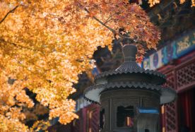 5日4晚 · 獨立包團 · 月滿京秋 皇城北京 4大世界遺產5天豪華團：故宮博物院＋頤和園＋天壇公園＋長城