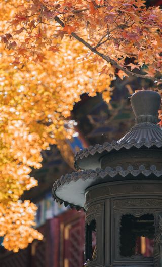 5天4晚 • 月滿京秋 皇城北京 宿2環核心商圈輕奢亞朵飯店 4大世界遺產5天豪華團：故宮博物院＋頤和園＋天壇公園＋長城