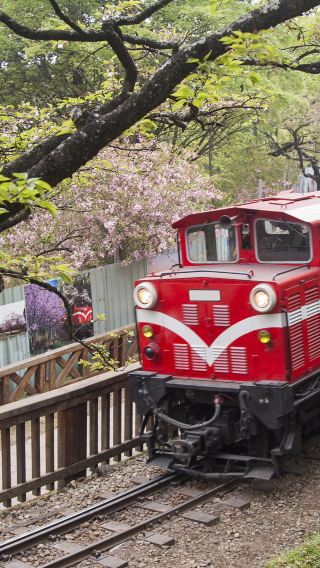 7D6N • Taiwan · Taipei + Taichung + Sun Moon Lake + Alishan National Scenic Area