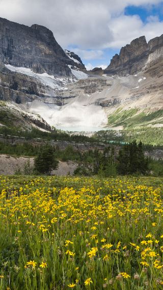 2D1N • 2-Day Tour of Jasper National Park and Columbia Icefield from Calgary