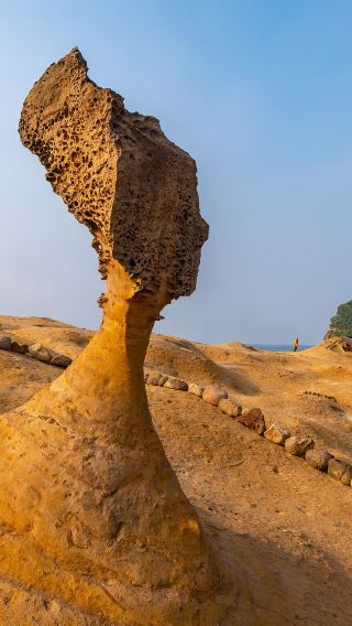 5天4晚 • 「新登場」台北＋日月潭＋高美濕地＋阿里山｜遊船、放天燈、採茶、搭三輪車、十分老街祈福天燈