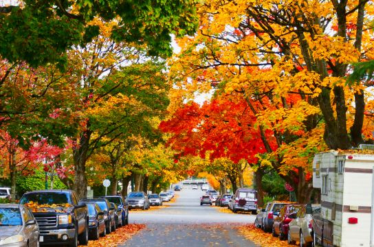 The older streets east of downtown Vancouver