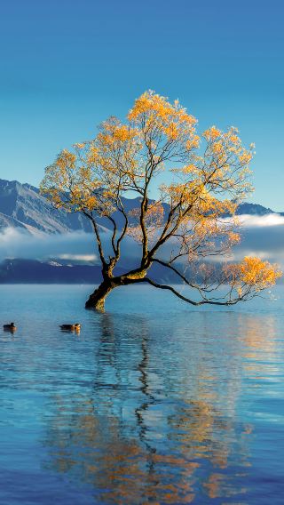 10D9N • New Zealand South Island Midline, East Coast, Small Loop Tour