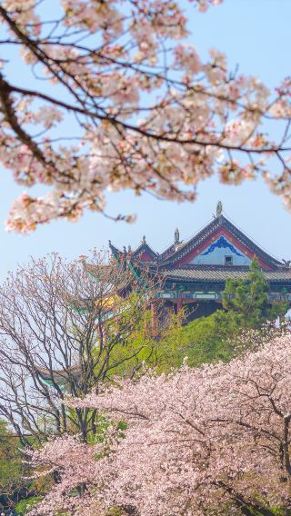 8天7晚 • 武漢＋張家界＋吉首＋恩施土家族苗族自治州＋鳳凰古城＋長沙