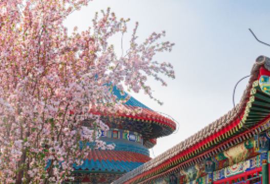 7D6N · Group Tours · Beijing + Gubeikou Ancient Town + The Palace Museum + Mutianyu Great Wall + Temple of Heaven + Lama Temple · 6 night stay at Wyndham IHG, Shichahai, Mei Lanfang Memorial, Peking Opera, Republican era vintage photos, Liulichang. No shopping stops, no optional fees, tips included.