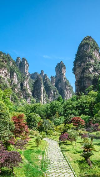 4D3N • Changsha + Zhangjiajie + Tianmen Mountain National Forest Park + Fenghuang Ancient Town