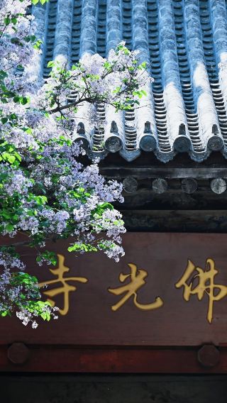 4D3N • Mount Wutai + Pingyao Ancient City + Yungang Grottoes