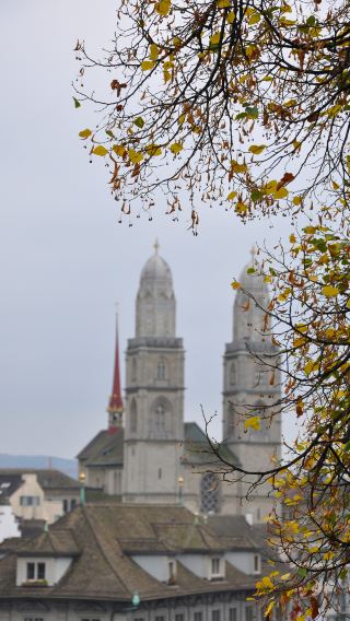 3D2N • Three Days of Glow: A Journal of Wanderings in Zurich