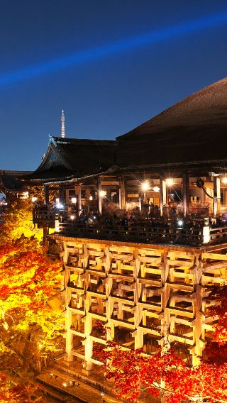 5天4晚 • 大阪-京都-奈良-和歌山美景玩樂5天之旅