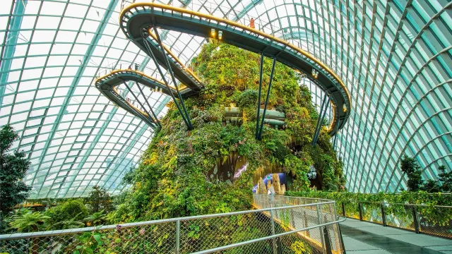 【新加坡美食】2025新加坡美食餐廳盤點!附當地景點推薦